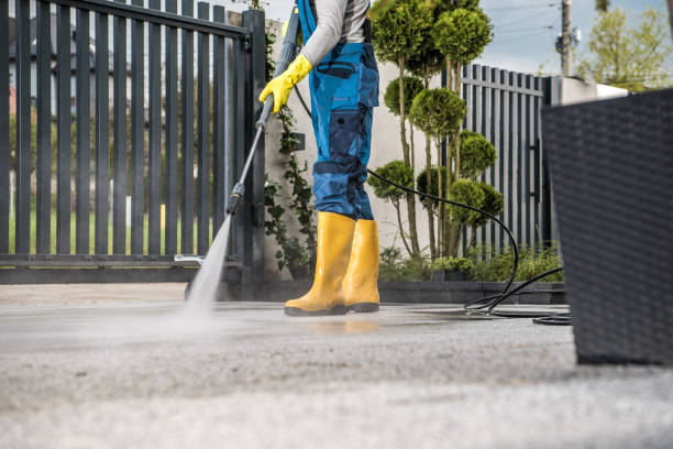 Best Dumpster Area Cleaning  in Woodbury, NY